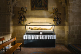 Ana Rodriguez Heinlein